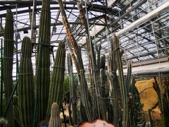 -南山植物园