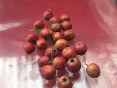 -南窖乡水峪村山情农家