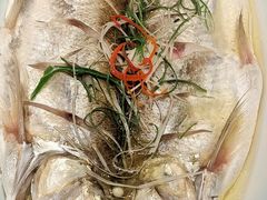 -同济大酒店(绿宝广场店)