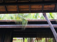 -厦门日月谷温泉渡假村