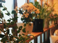 -Cafe Alice咖啡爱丽丝(奥城店)