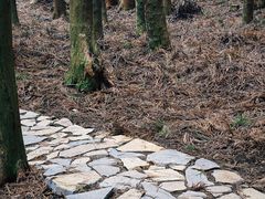 -山王坪喀斯特国家生态公园