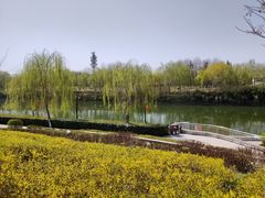 -西安汉城湖景区