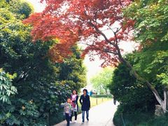 -解香楼(八盘岭路店)