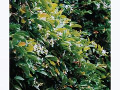 -宁波市保国寺古建筑博物馆