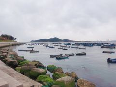 -威海市图书馆