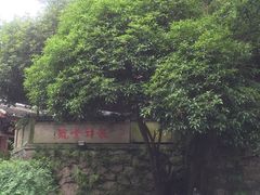 门面-龙井壹号·茶缘山景宴(龙井村店)