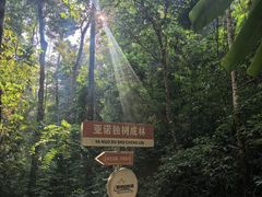 -西双版纳基诺山寨