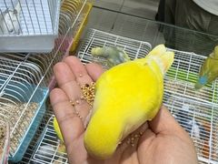 -三旗百汇商品城