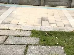 -光明港公园