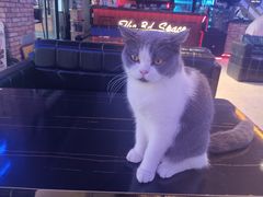 -第三空间·趣味桌游·轰趴.室内CS.剧本杀(大武汉1911店)