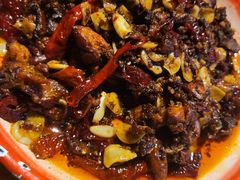 -柴窝堡22号辣子鸡·传承新疆菜