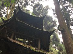 -青城山