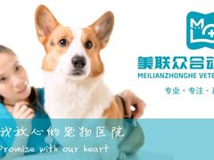-美联众合动物医院·24h转诊中心