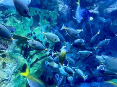 -珠海长隆海洋王国