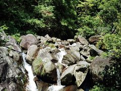 -大围山国家森林公园