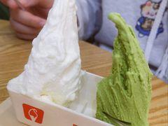 -野人先生Gelato(上海长宁龙之梦店)