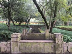 -阿育王寺