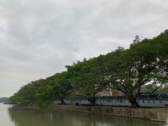 -江心屿景区