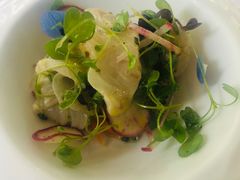 -蝶舍·MAISON PAPILLON