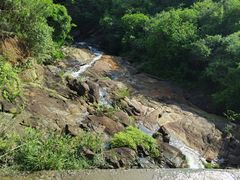 -广州白江湖森林公园