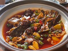 -青城甲(青城山店)