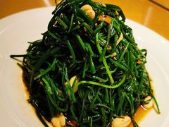 果仁草原沙葱-老阿妈蒙古村·蒙古包·草原文化·歌舞表演(老君堂店)