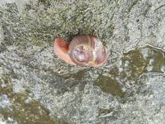 -罗田薄刀峰风景区