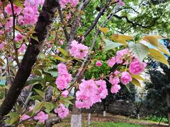 -长沙市青少年宫