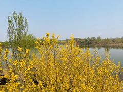 -东郊湿地公园