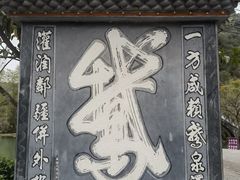 -靖西鹅泉风景区