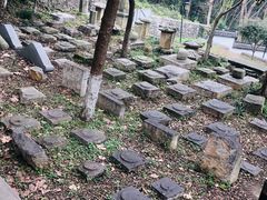 -镇江市南山风景名胜区竹林景区