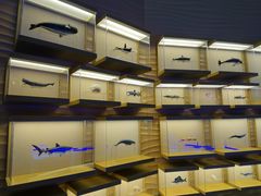 -上海中国航海博物馆