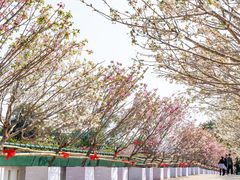 -观澜湖生态运动公社