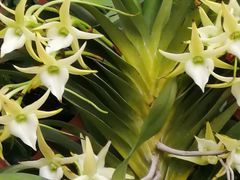 -北京植物园-展览温室