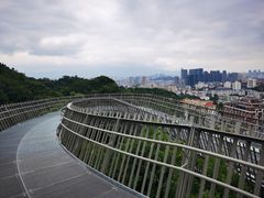 -福道