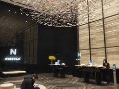 -长沙尼依格罗酒店