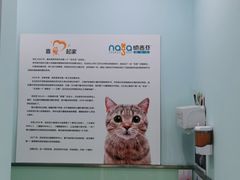 -纳吉亚猫专科动物医院博雅分院