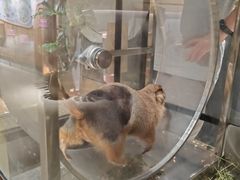 -瑞虹新天地月亮湾