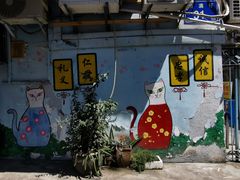 -猫咪博物馆(顶澳仔猫街店)