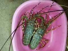 -班赞海鲜市场