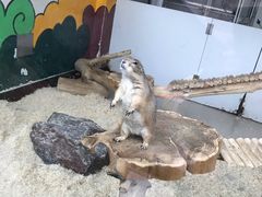 -大连森林动物园