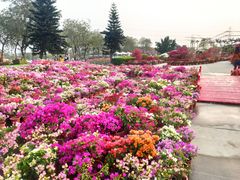 -盈香心动乐园