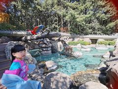 -金方森林温泉
