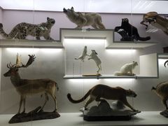 -国家自然博物馆