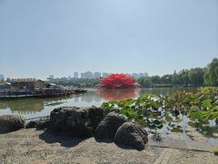 -洛阳市隋唐城遗址植物园