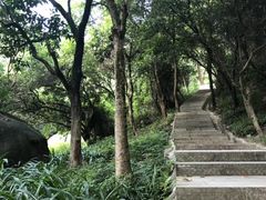 -火炉山森林公园