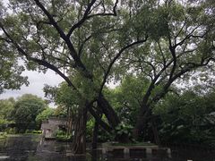 -柳侯公园