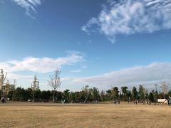 -上海长兴岛郊野公园