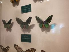 -陕西自然博物馆